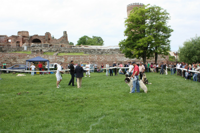 IMG_5783 - Targoviste 20-05-2012