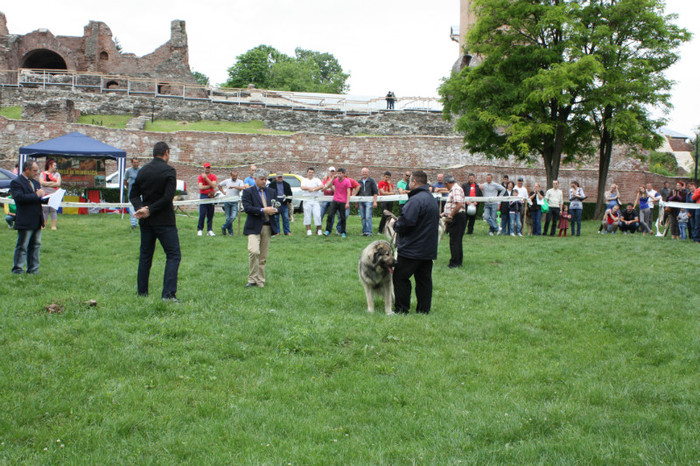 IMG_5839 - Targoviste 20-05-2012