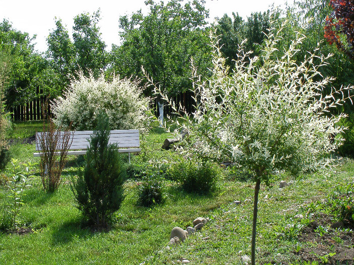 2012_05130233 - Gradina 2012