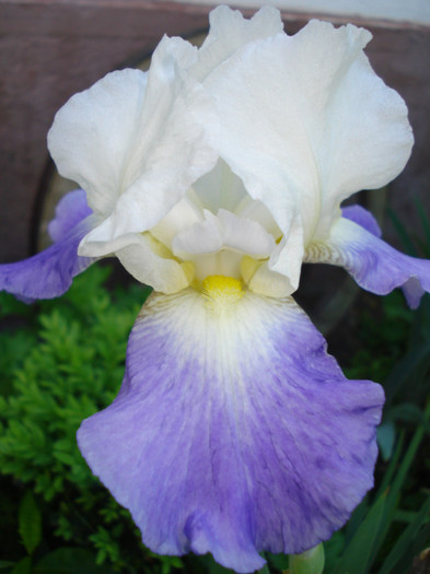 82. "Morning Rich", 19.05.2012