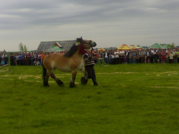 20052012020 - cai horodnicul de sus