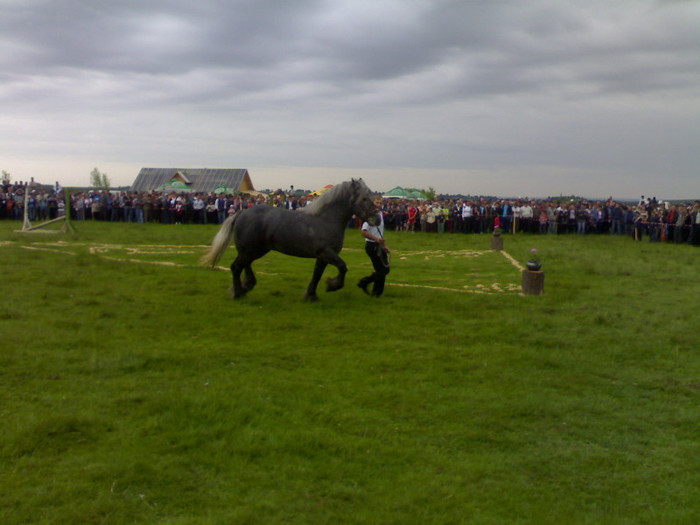 20052012023 - cai horodnicul de sus