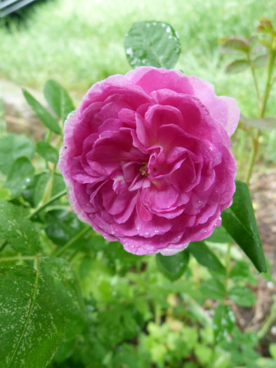 P1050653