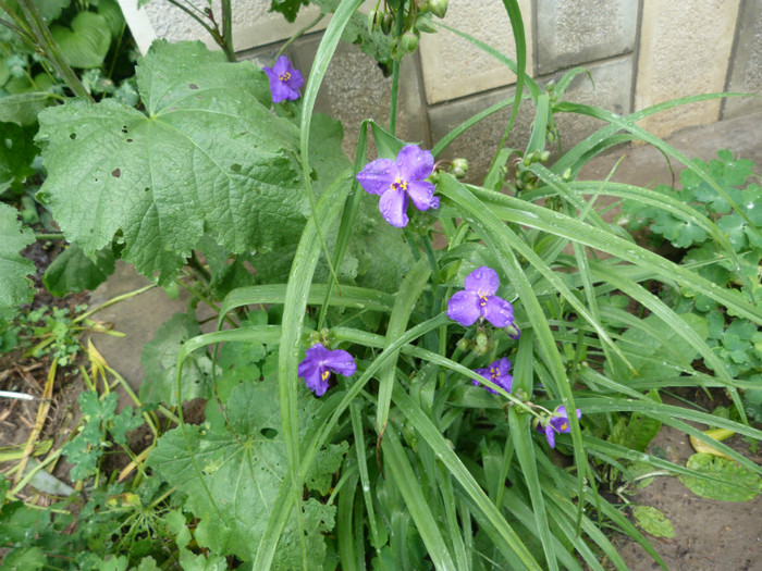 P1050655