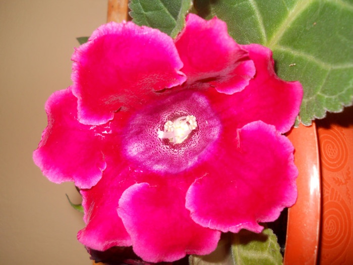 DSCN2610