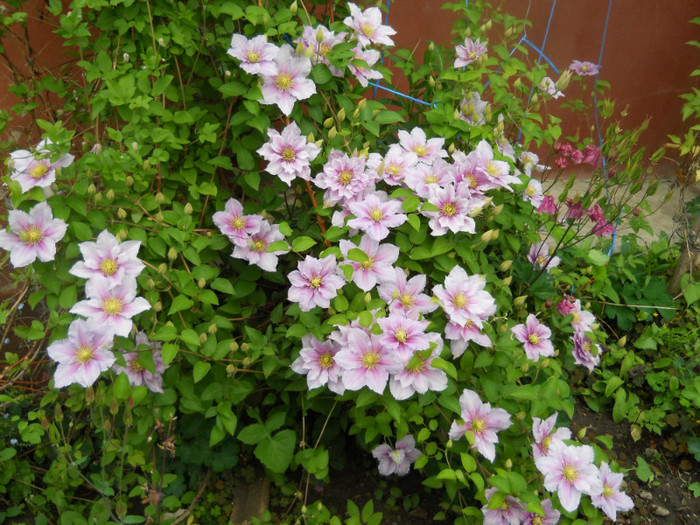 DSCN2636