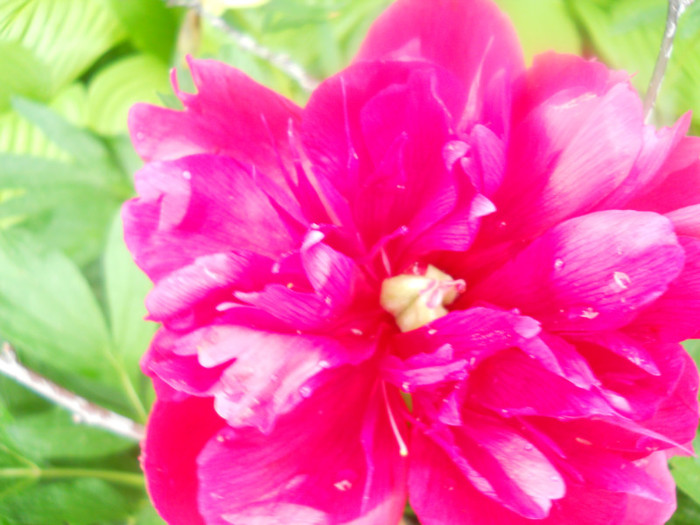 DSCN2647