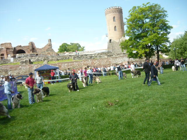 P1010401 - Targoviste Mai 2012