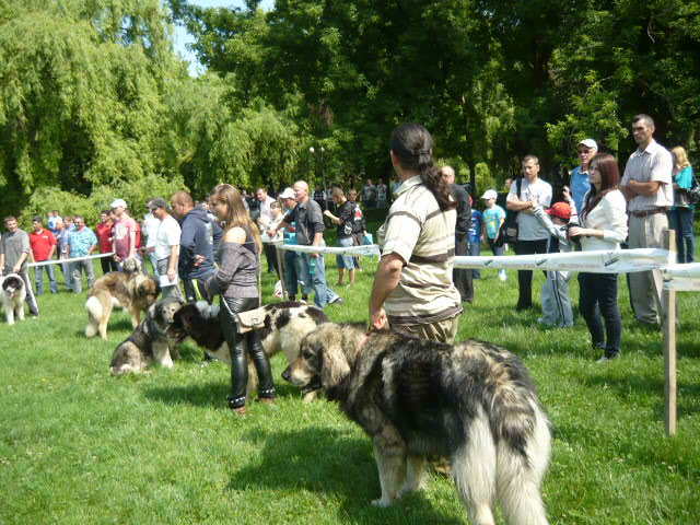 P1010403 - Targoviste Mai 2012