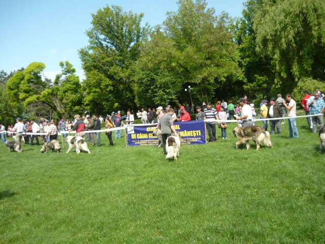 P1010404 - Targoviste Mai 2012