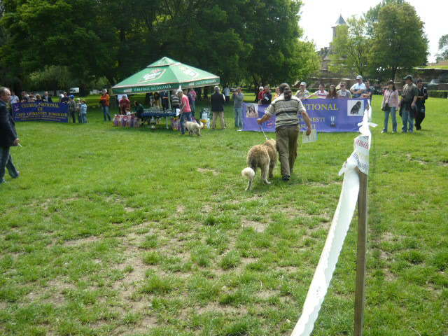 P1010410 - Targoviste Mai 2012