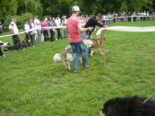 P1010432 - Targoviste Mai 2012