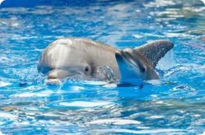 images (25)