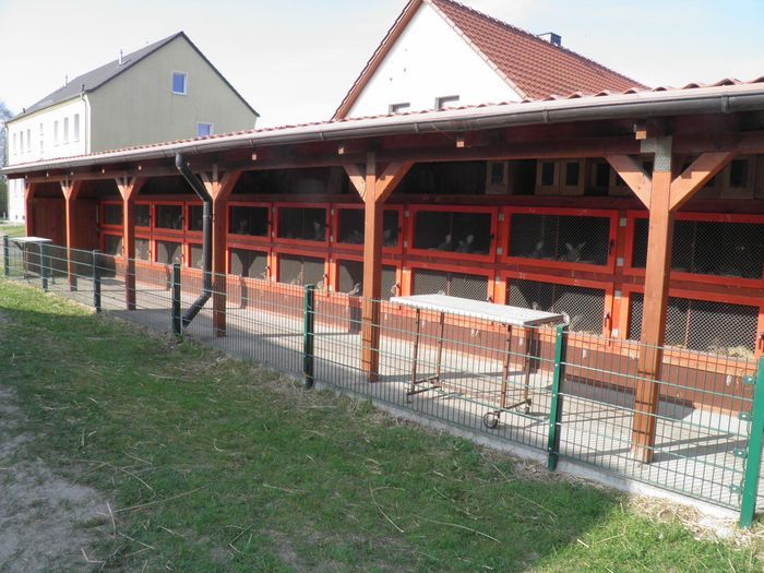 2012-04.21-kilian-038