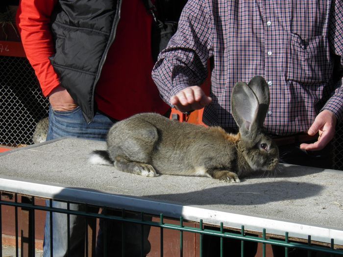 2012-04.21-kilian-042