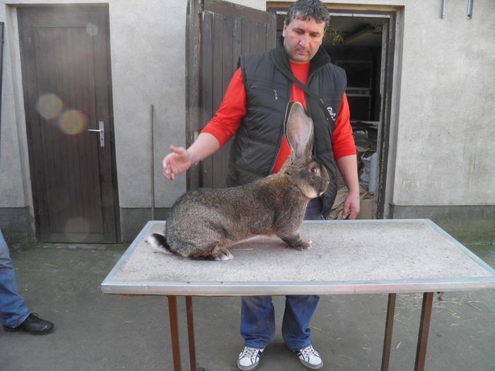 2012-04.21-kilian-092