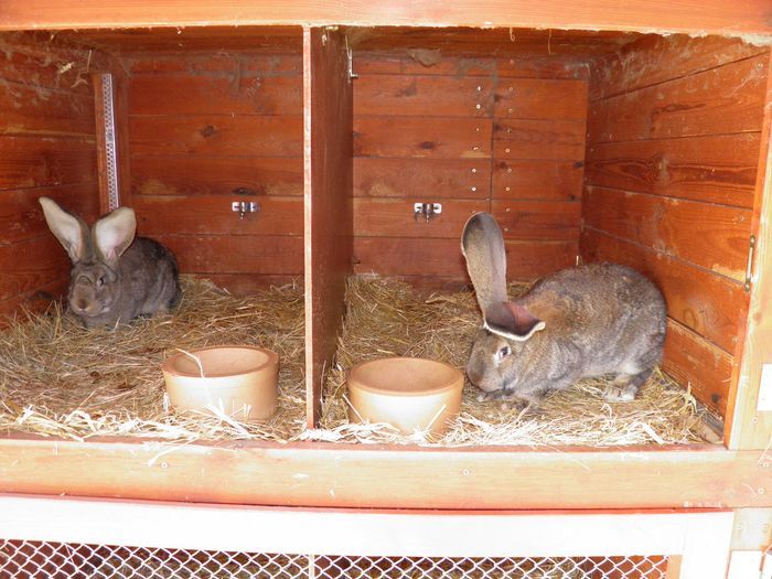 2012-04.21-kilian-100