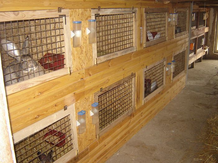 regi-nyulhazam-meg-hasznalom--3-kep-