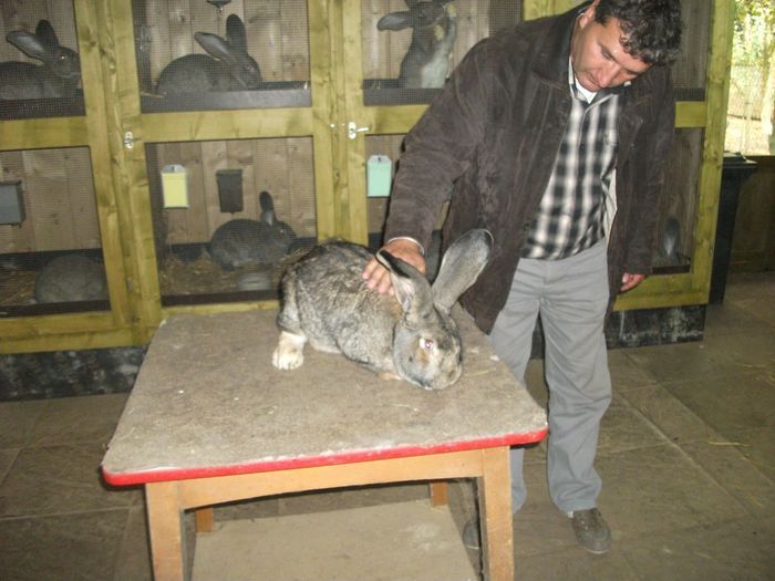 schleicher-karl-70-eves-010