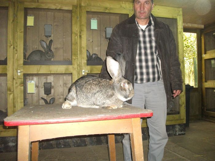 schleicher-karl-70-eves-011