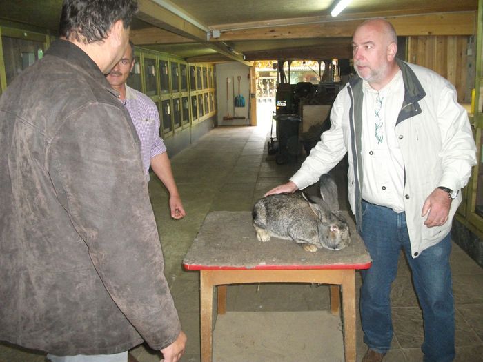 schleicher-karl-70-eves-013