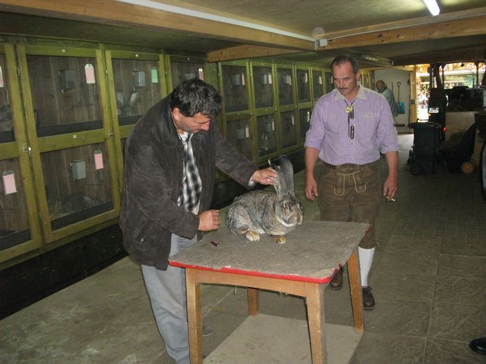 schleicher-karl-70-eves-024