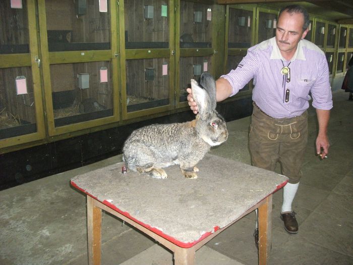 schleicher-karl-70-eves-027