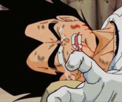 423331_338606962844570_209021302469804_872831_208280912_n_thumb