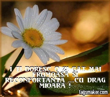  - VIATA IUBIRE SI PRIETENIE  1
