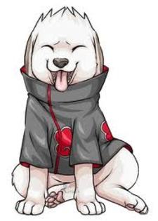 2 - Akamaru