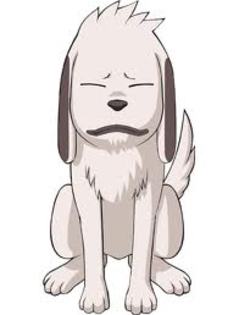 5 - Akamaru