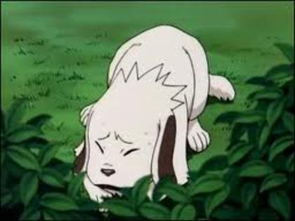 8 - Akamaru