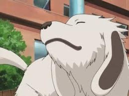 10 - Akamaru