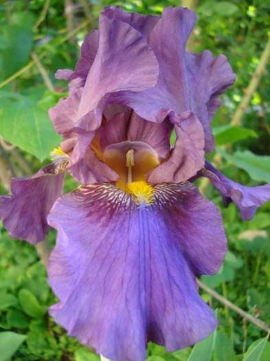 64b. "Judit", 21.05.2012