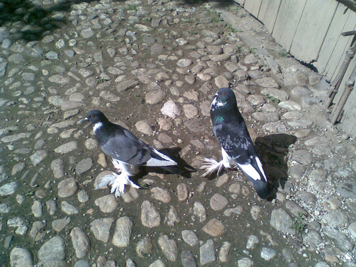 Imag005