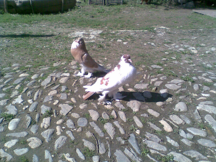 Imag008