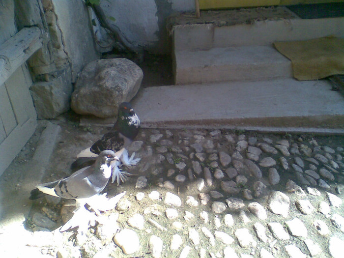 Imag009
