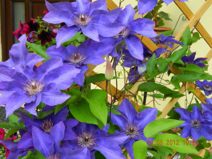 The President - 5_MAI