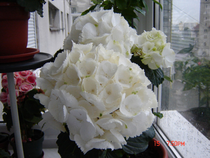 DSC03791
