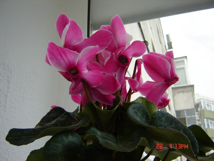 DSC03803