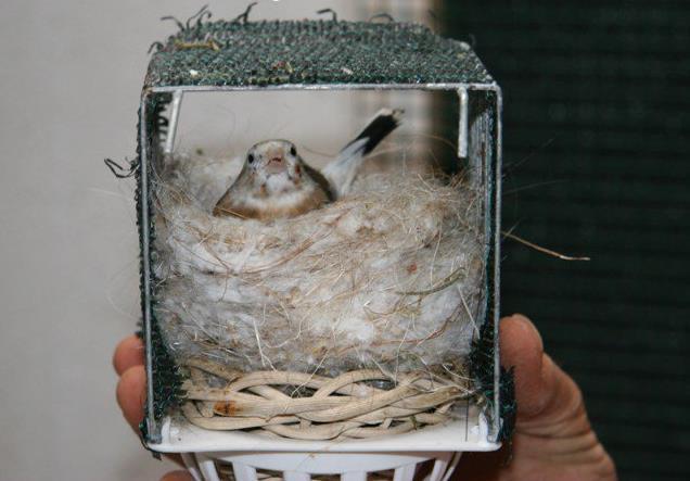 540235_415431771815374_208393189185901_1433935_1310956155_n