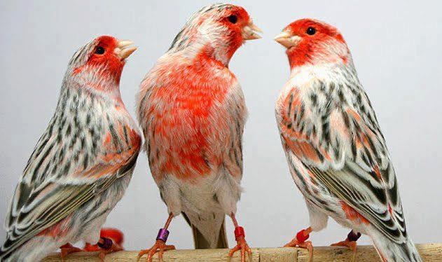 555461_424345534257331_208393189185901_1463649_1879842522_n