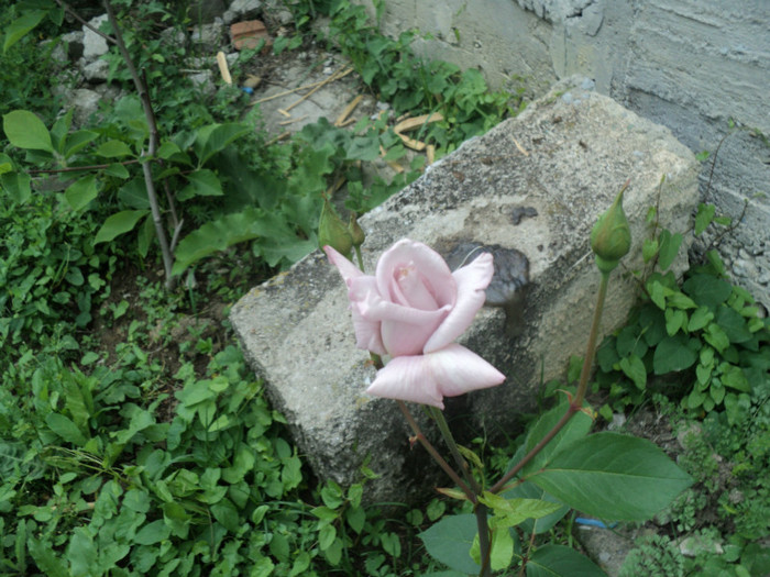DSC04933