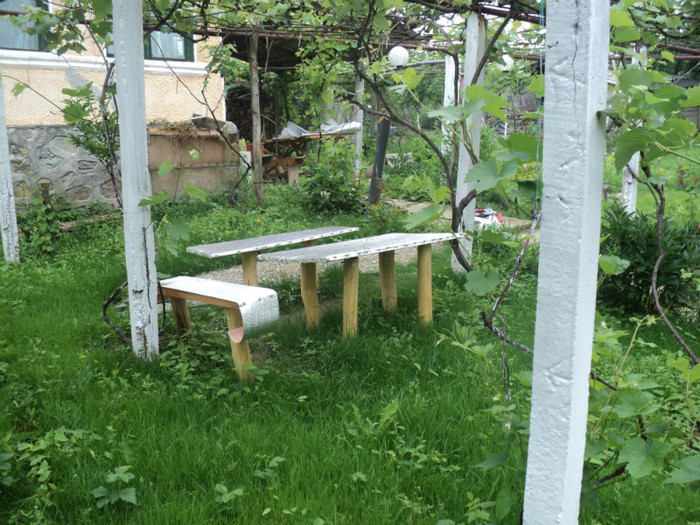 DSC04937 - GRADINA CASEI MELE