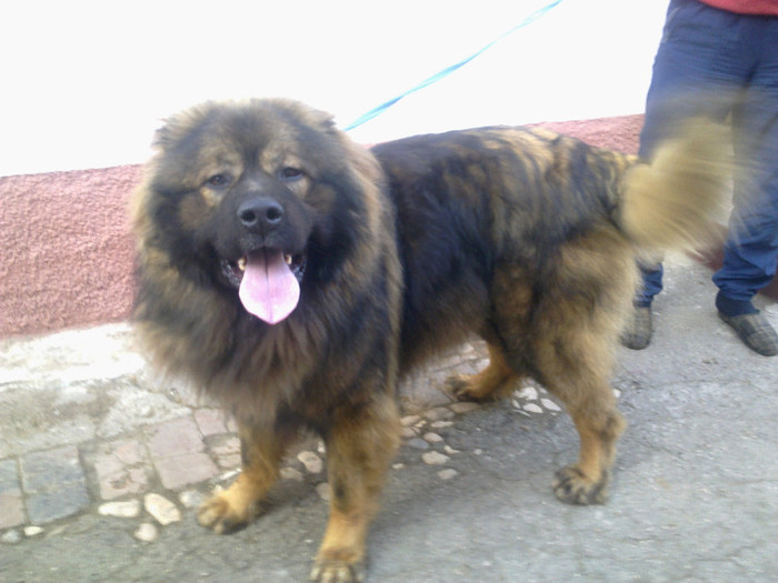 12032011002 - Fetita