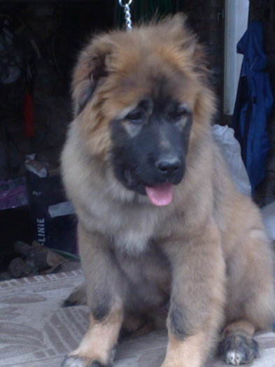 14032009425 - Fetita