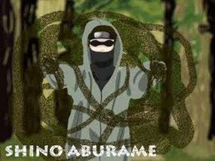 17 - Aburame Shino