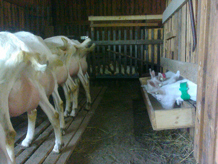 08 04 2012 007