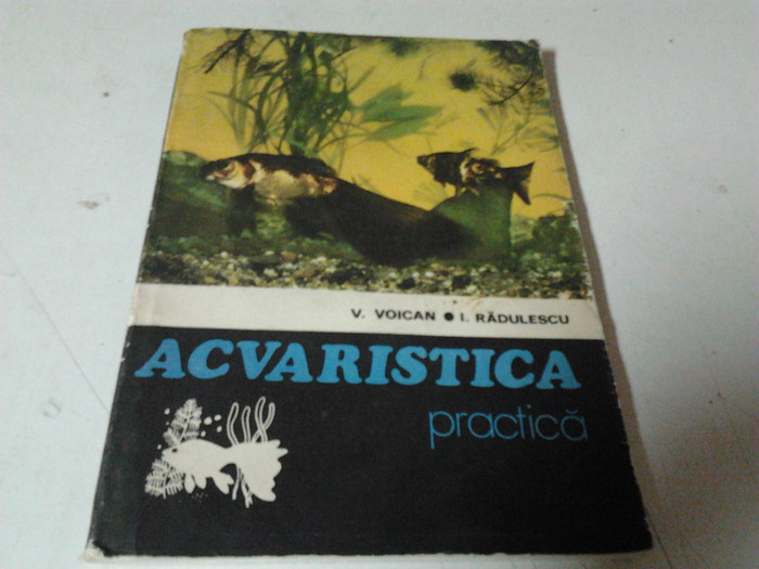 2012-05-17 19.26.28 - ACVARISTICA