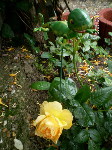 GARDEN PRINCES 2